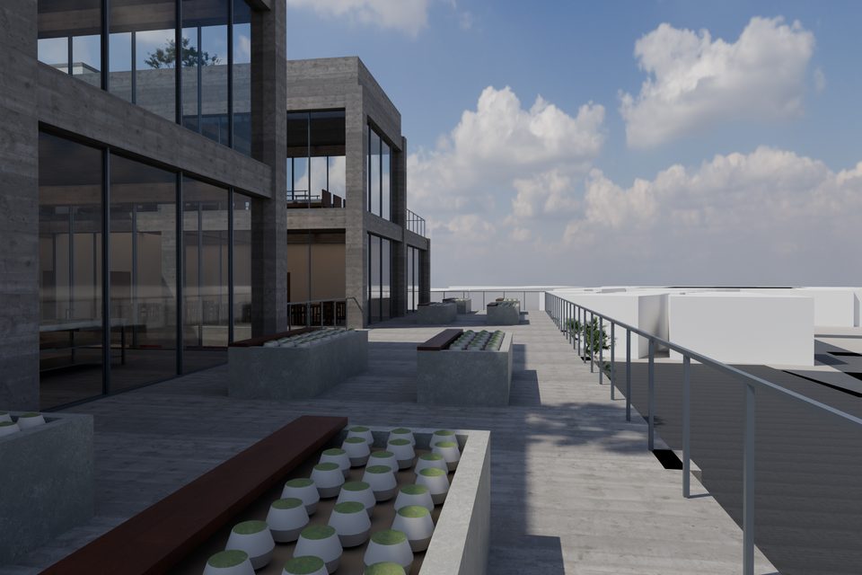 Third-floor terrace vegetable garden / 三樓露台菜園